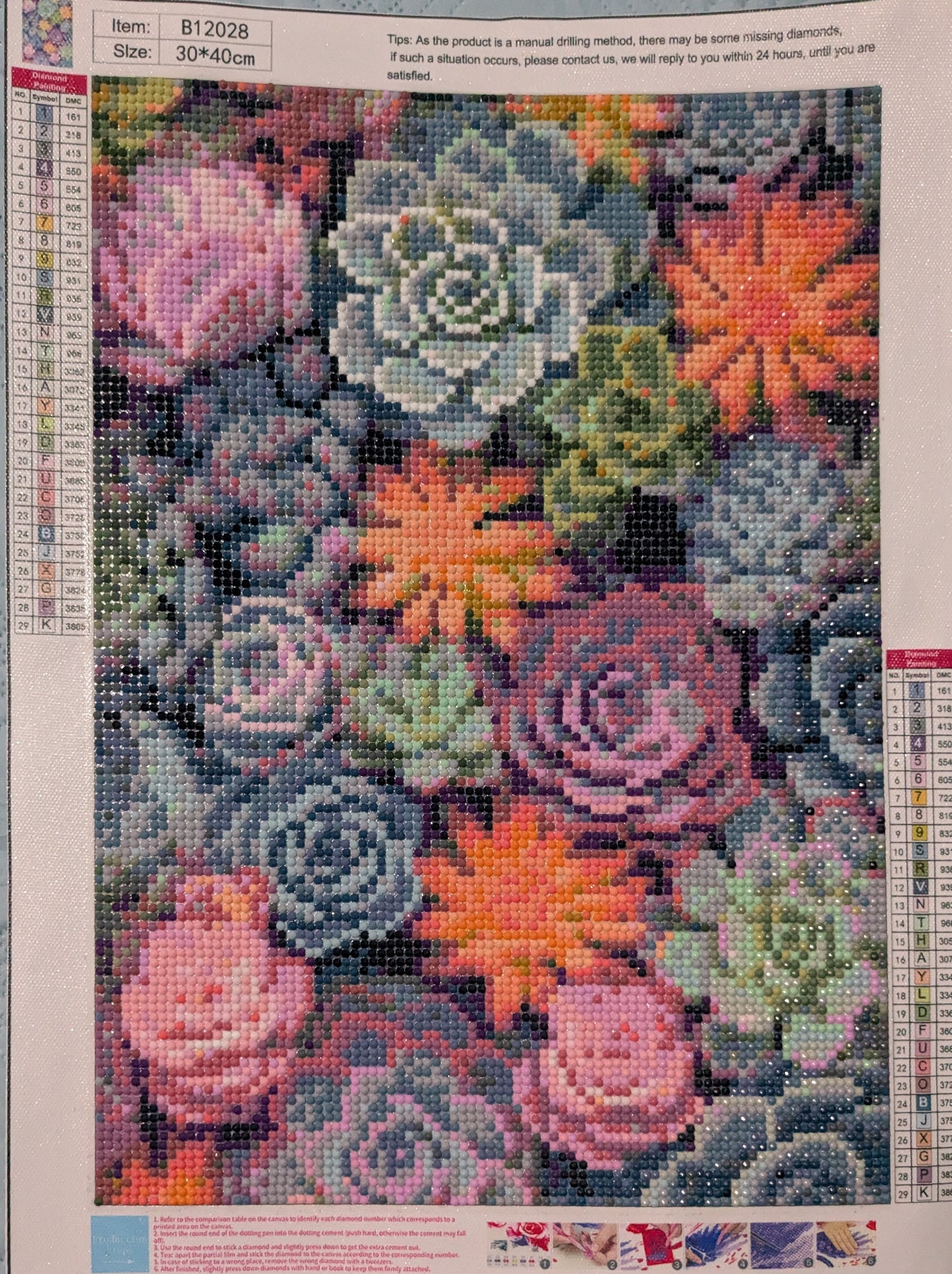 Succulents