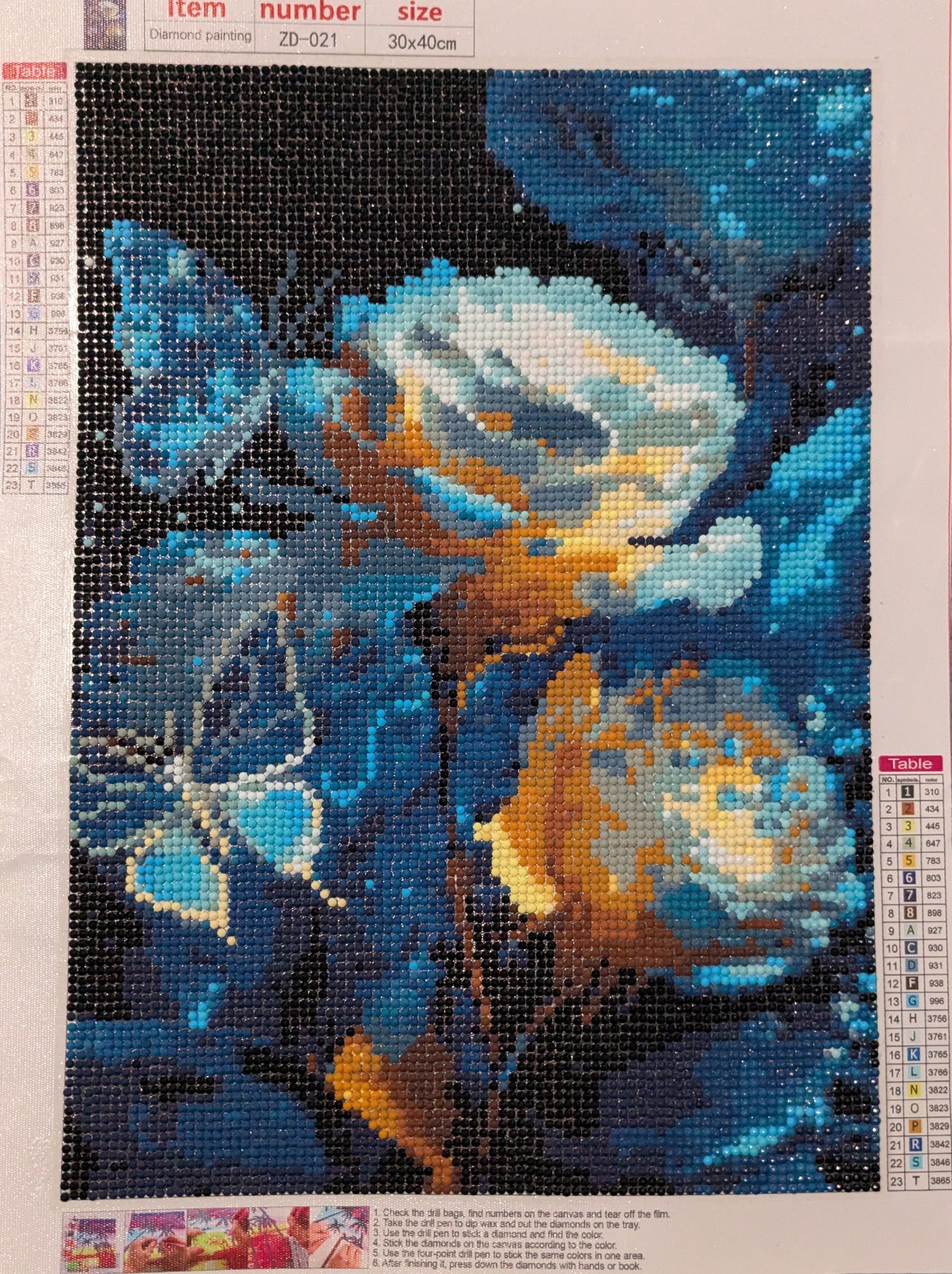 Glowing Roses